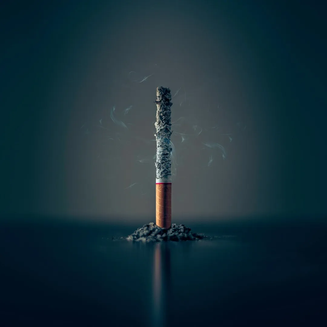 Une cigarette dressée à la verticale entièrement consummée, dégageant une légère fumée et dont les cendres tiennent encore en place.